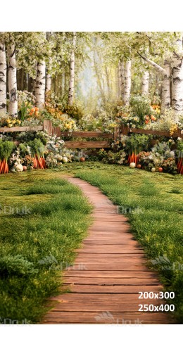 Tło fotograficzne z brzozowym lasem i drewnianą ścieżką | E582